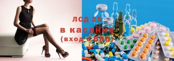 прущие грибы Баксан