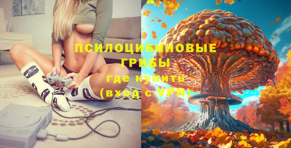 дурь Аркадак