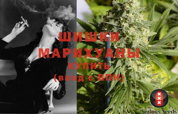 прущие грибы Баксан