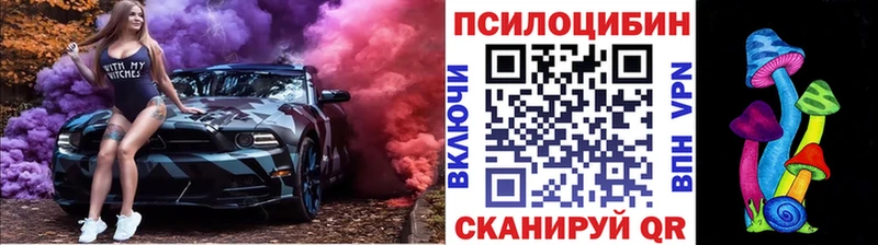 Псилоцибиновые грибы мухоморы  MEGA ТОР  Кологрив  даркнет сайт 