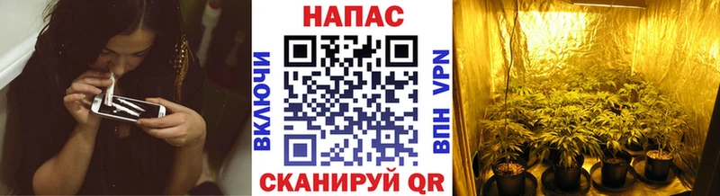 Марихуана индика  что такое наркотик  Кологрив 